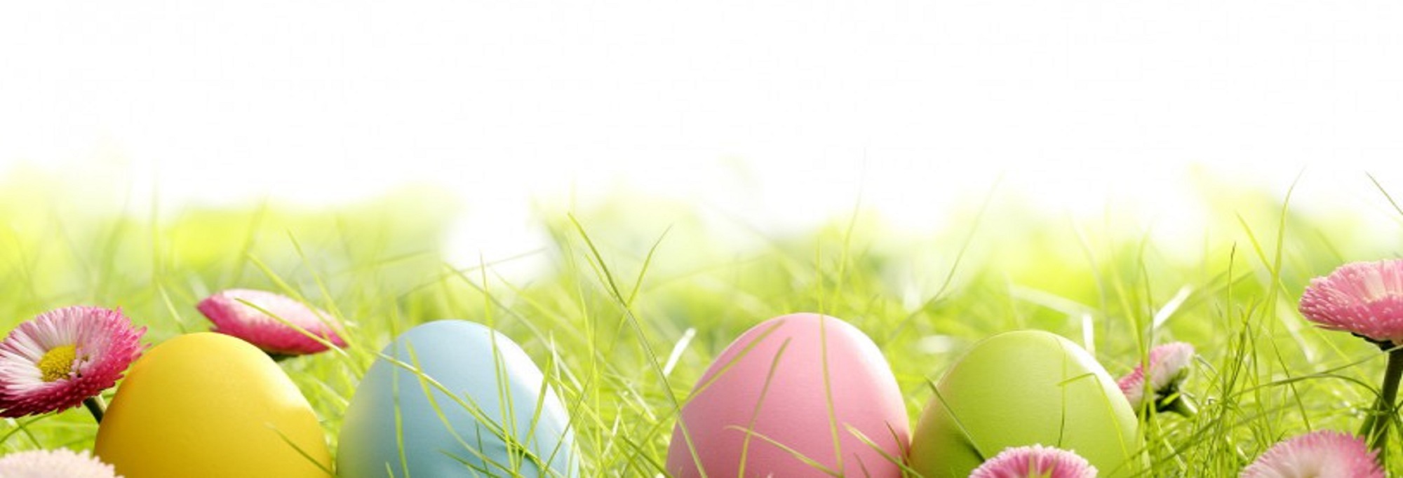 fotolia_62877794_m-815x338 fotolia_62877794_m-815x338
